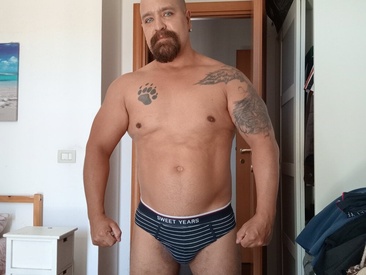 Recent Screen Shot of AMIRDIB2025