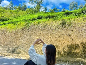 Recent Screen Shot of Aha-aa