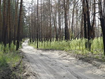 Recent Screen Shot of AmelieReve