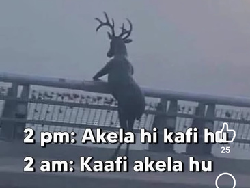 Recent Screen Shot of Amisha2