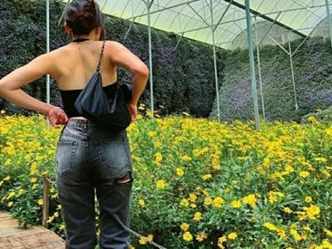 Recent Screen Shot of Anaya0000