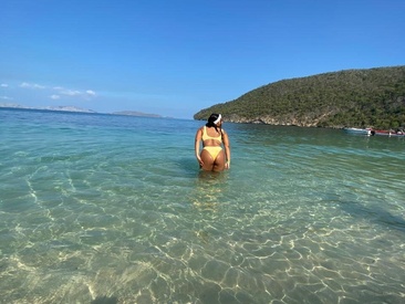 Recent Screen Shot of Aregoe_Art