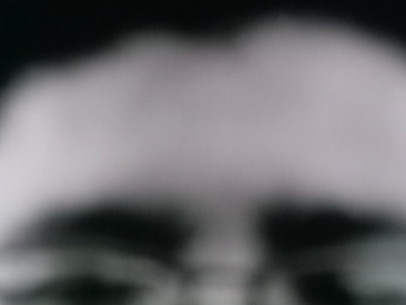 Recent Screen Shot of Bass12342a