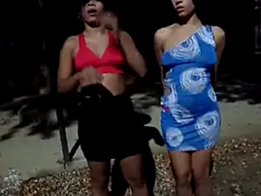 Recent Screen Shot of CurlyBitch