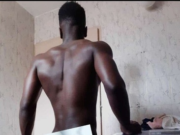 Recent Screen Shot of DR-ANIMAL