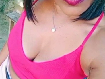 Recent Screen Shot of Dini30