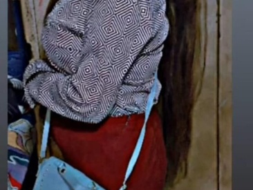 Recent Screen Shot of Disha-_00