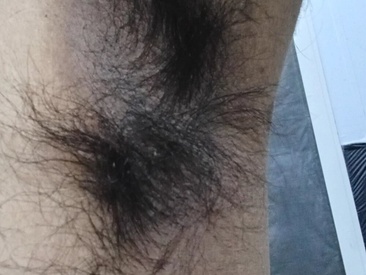 Recent Screen Shot of Expresshorse