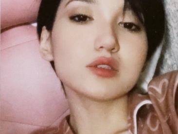 Recent Screen Shot of GentleMusee