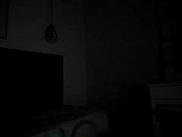 Recent Screen Shot of GysellHanson