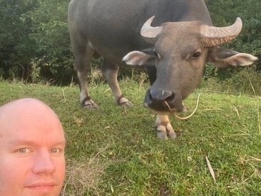 Recent Screen Shot of HansenHa