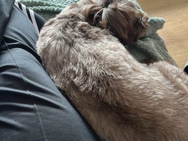 Recent Screen Shot of Jungfrau_NRW