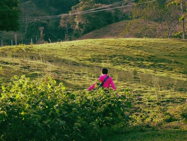 Recent Screen Shot of Lotto_bloom