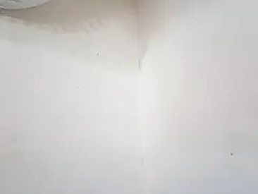 Recent Screen Shot of Lovepussyhair
