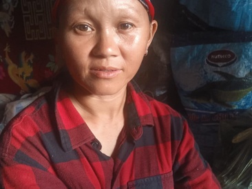 Recent Screen Shot of MaiHoa69