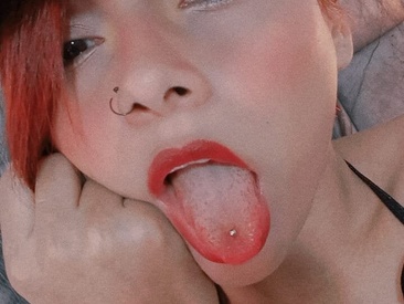 Recent Screen Shot of MonieLodge