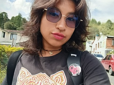 Recent Screen Shot of NaugthyNectar