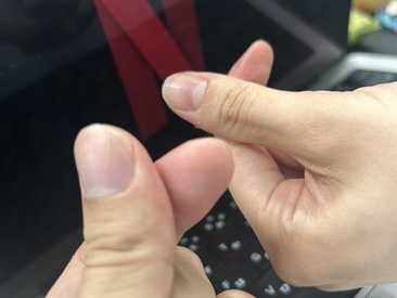 Recent Screen Shot of NetfliSex