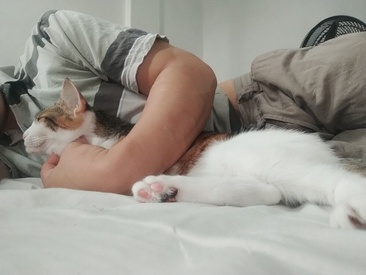 Recent Screen Shot of NiceBabyBoy