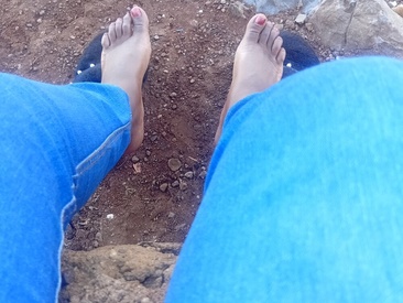 Recent Screen Shot of Omphilesoa