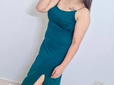 Recent Screen Shot of PALLVI_