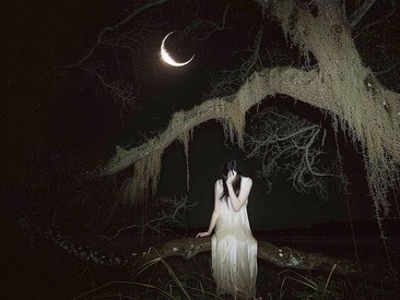 Recent Screen Shot of PastelitoricoUwU