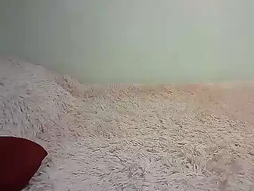 Recent Screen Shot of RDENLACASA