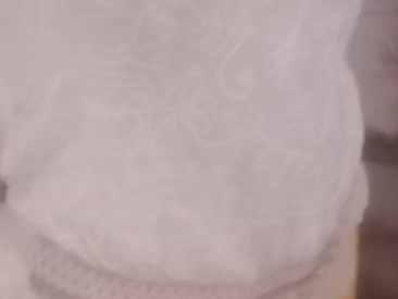 Recent Screen Shot of Rani_299