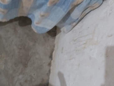 Recent Screen Shot of Rubyy2524