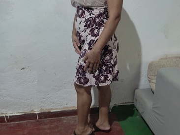 Recent Screen Shot of Sajana_