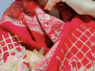 Recent Screen Shot of Sakshi-11