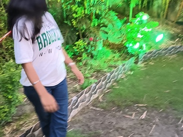 Recent Screen Shot of Snehabeauti