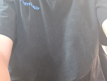 Recent Screen Shot of Stripholyday