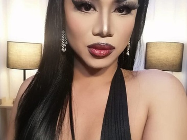 Recent Screen Shot of TRANSLUNAA