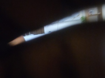 Recent Screen Shot of Thicky_Curry