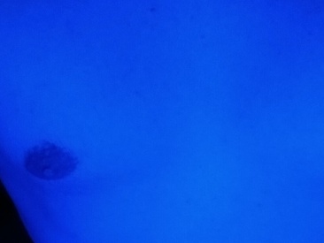 Recent Screen Shot of Tom4Womans