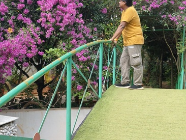 Recent Screen Shot of WickedSunny25