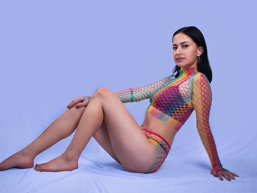 Recent Screen Shot of Windy_butterfly