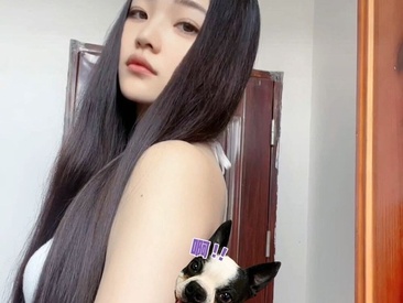 Recent Screen Shot of Zhao-Zhao-D