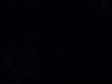 Recent Screen Shot of Zorrita_Fox