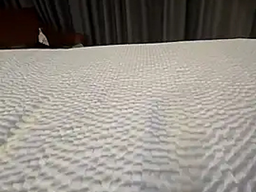 Recent Screen Shot of alienbunny