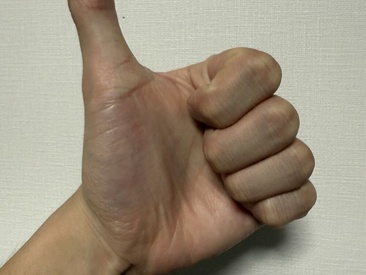 Recent Screen Shot of chinsemechan