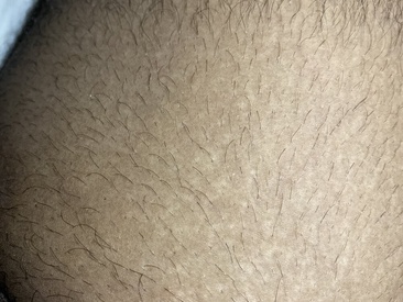 Recent Screen Shot of delasan