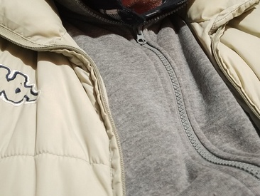 Recent Screen Shot of ficos2