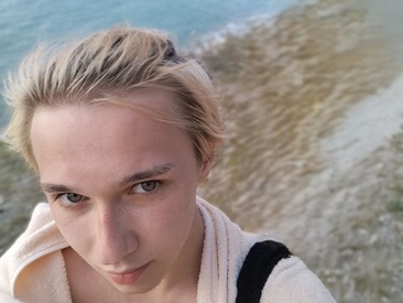 Recent Screen Shot of icebenz