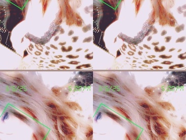 Recent Screen Shot of juicygoth202