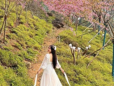 Recent Screen Shot of marylove-cc