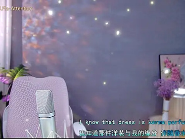 Recent Screen Shot of meimeida-