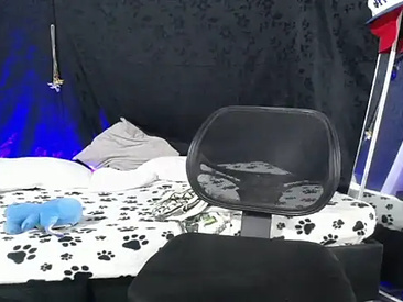 Recent Screen Shot of nic_2005