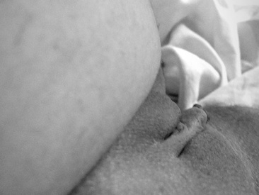 Recent Screen Shot of sexteen22